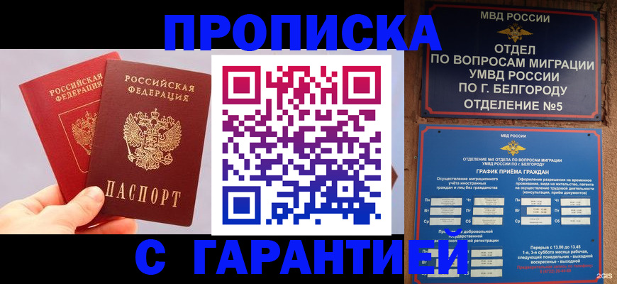 прописка 2025 в Барыше